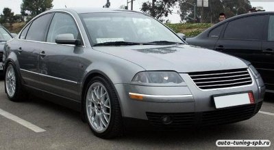 Ресницы нижние Volkswagen Passat B5 