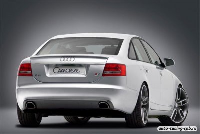 Спойлер Audi A6(C6) 