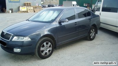 Ресницы верхние Škoda Octavia (A5) 