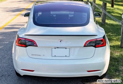 Спойлер TESLA Model 3 