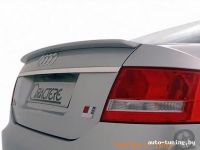 Спойлер Audi A6(C6) 