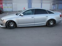 Пороги Audi A6(C6) 