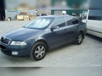 Ресницы верхние Škoda Octavia (A5) 