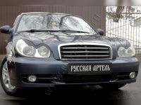 Ресницы верхние Hyundai Sonata IV (EF) 