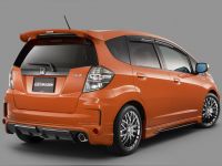 Спойлер Honda Fit (II} 