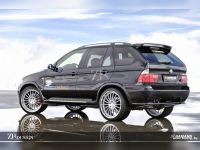 Спойлер BMW X5(E53) 