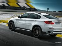 Спойлер BMW X6(E71) 