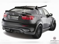 Козырёк на заднее стекло BMW X6(E71) 